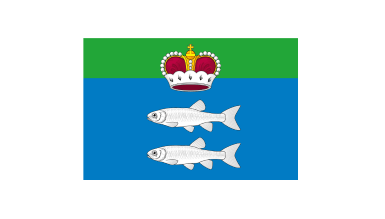 Ремонт стиральных машин в районе Гольяново