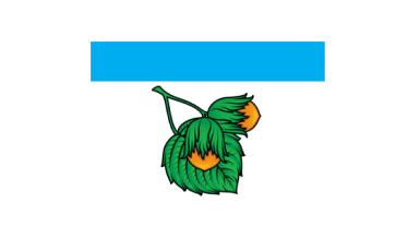 Ремонт стиральных машин в районе Орехово-Борисово Северное