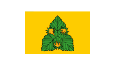 Ремонт стиральных машин в районе Орехово-Борисово Южное