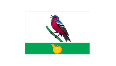 Ремонт посудомоечных машин в районе Зябликово